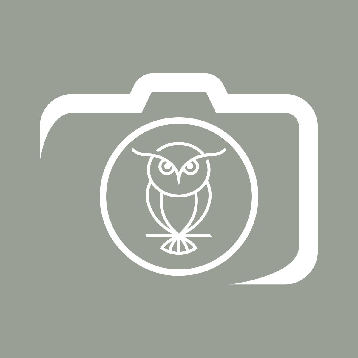 Sage Owl Photography