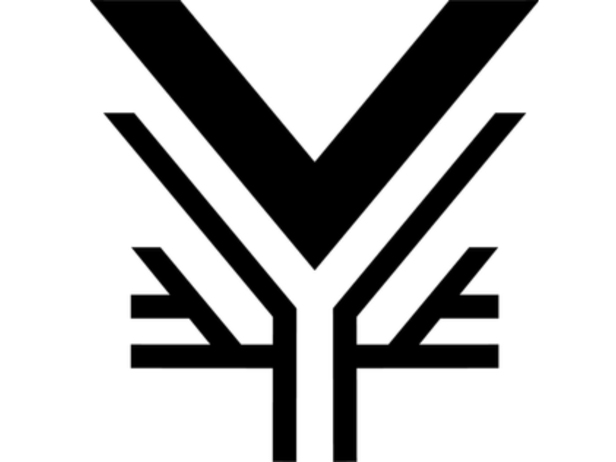 Vibrant Media Raleigh