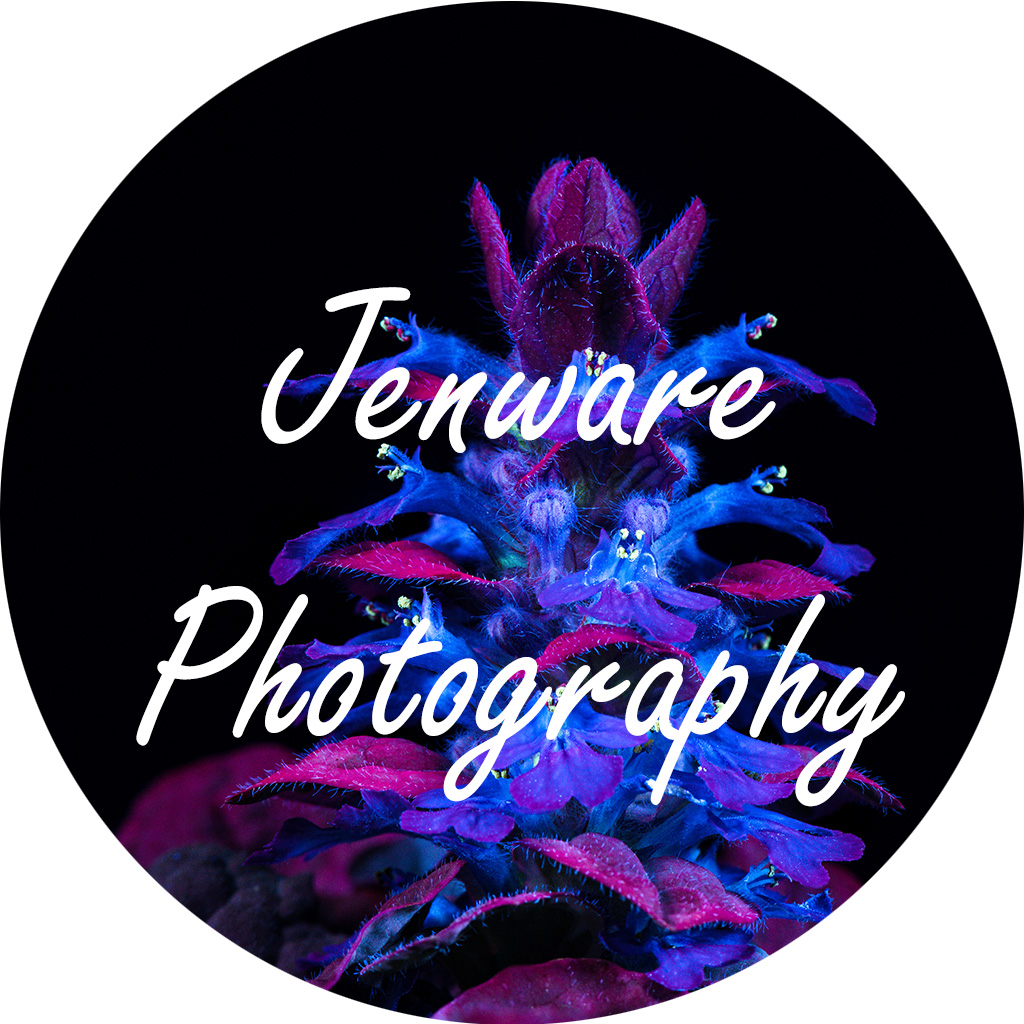 Jenware Photography