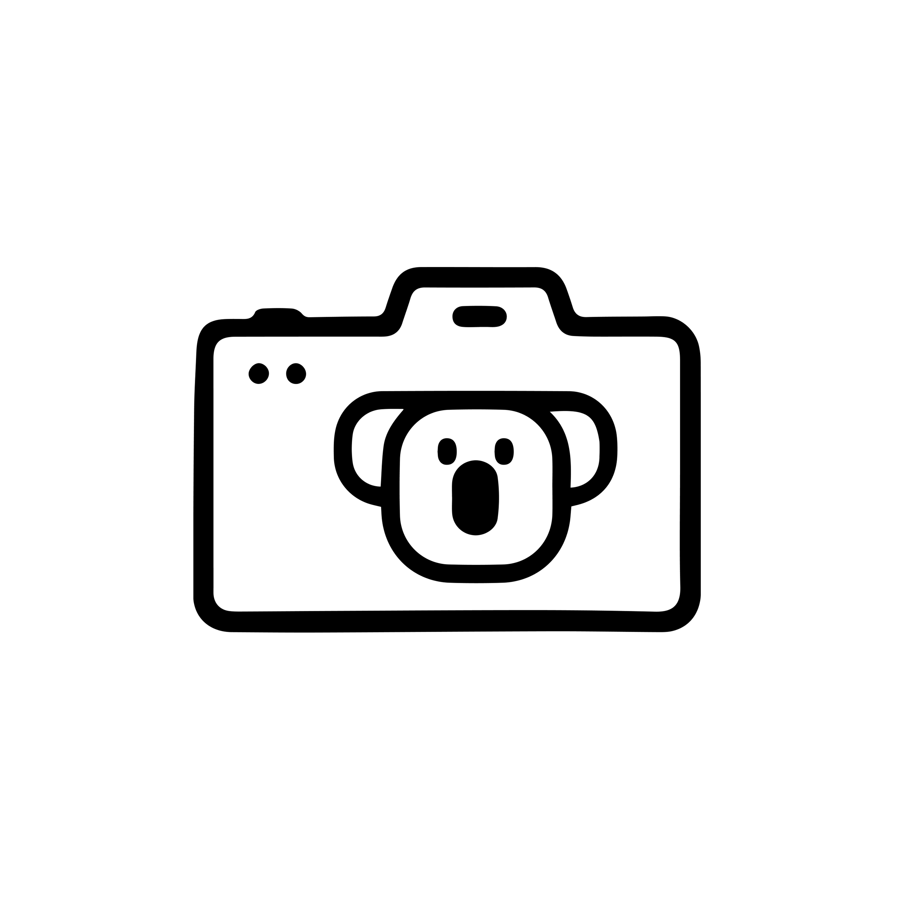 Koala Captures