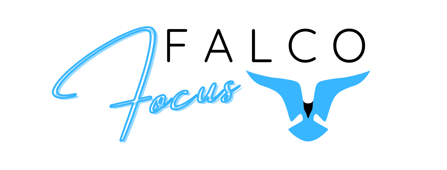Falco Focus Media