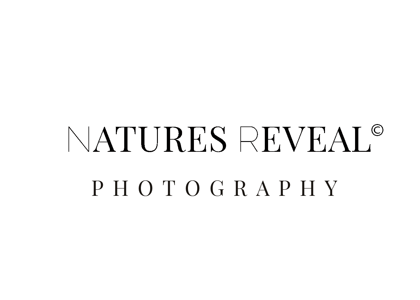 Natures Reveal Photography