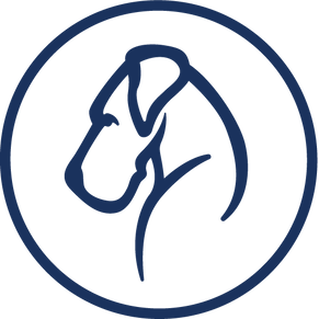 Jones Hollow Realty Group, Inc.