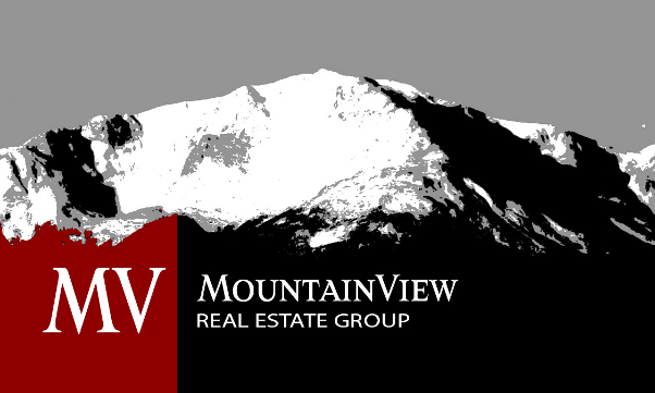 Mountain View Real Estate Group LLC