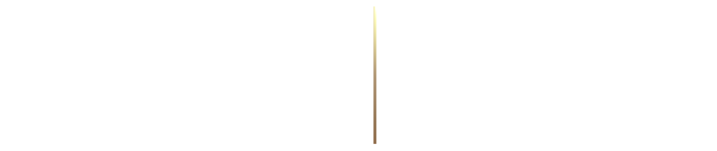 PREMIERE at Real Broker, LLC.