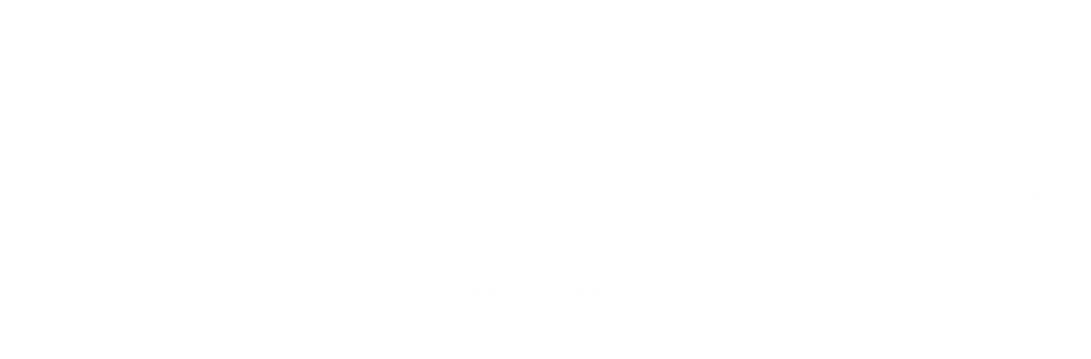 Blue Forest Realty Inc