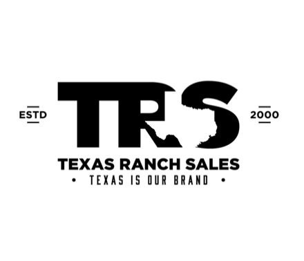 Robin McCall Dallenbach