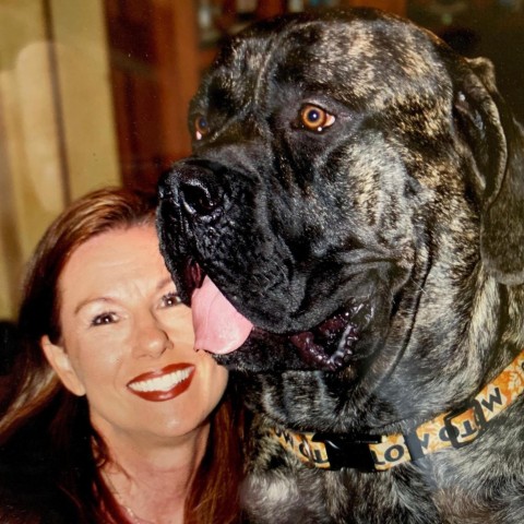 sherry@aspirerealtyteam.com