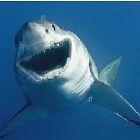 larrytamkin@gmail.com